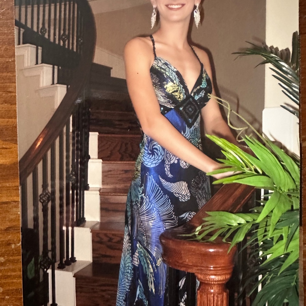 Dave & Johnny dress